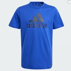 Adidas Men's Blue Tee with Black Logo